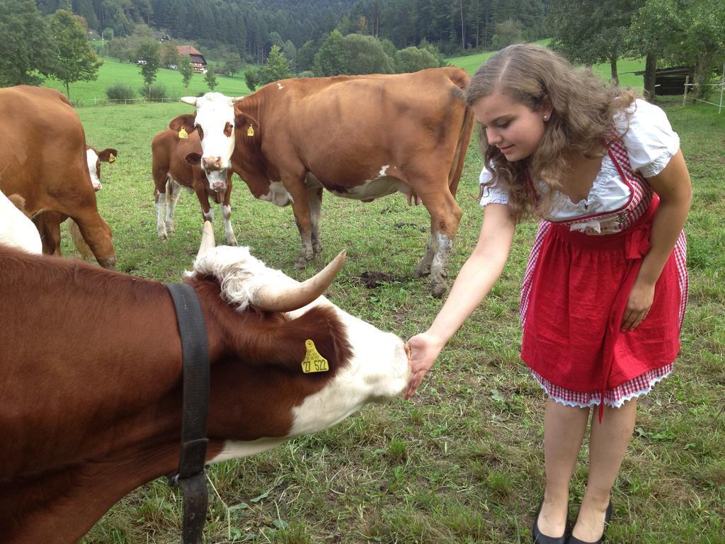 Mattenhof Zell am Harmersbach Eksteriør billede