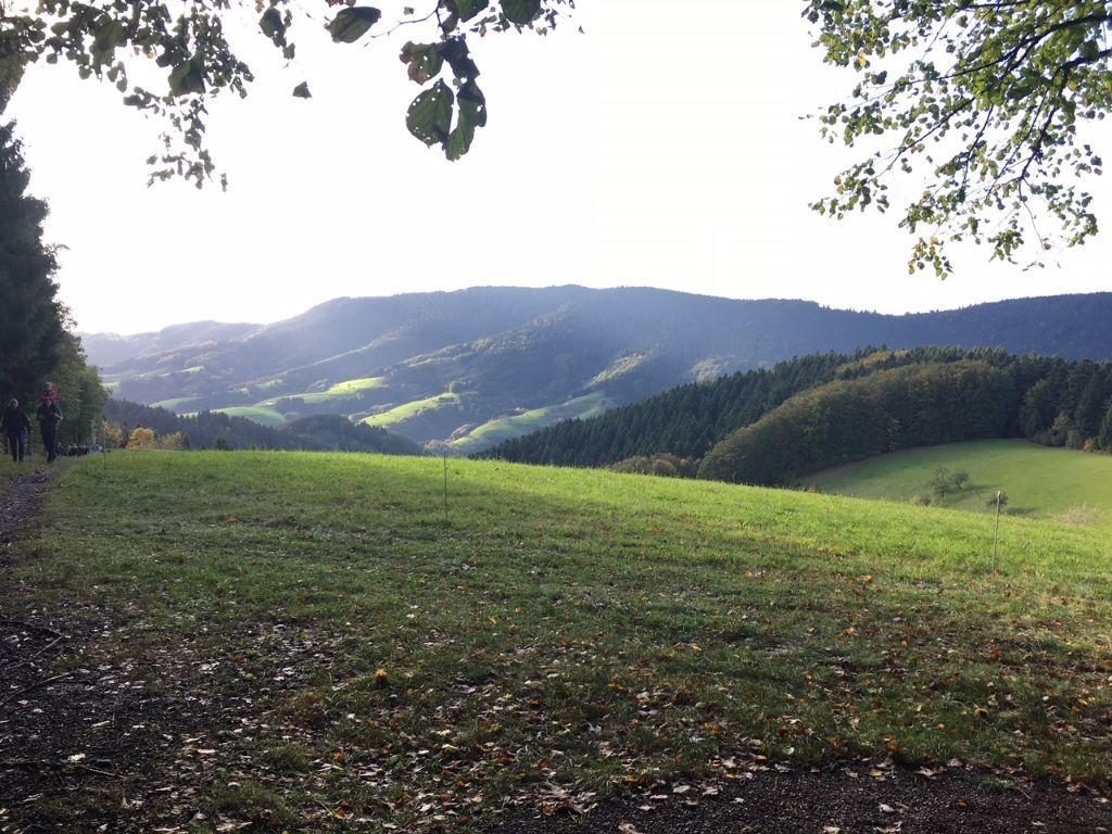Mattenhof Zell am Harmersbach Eksteriør billede