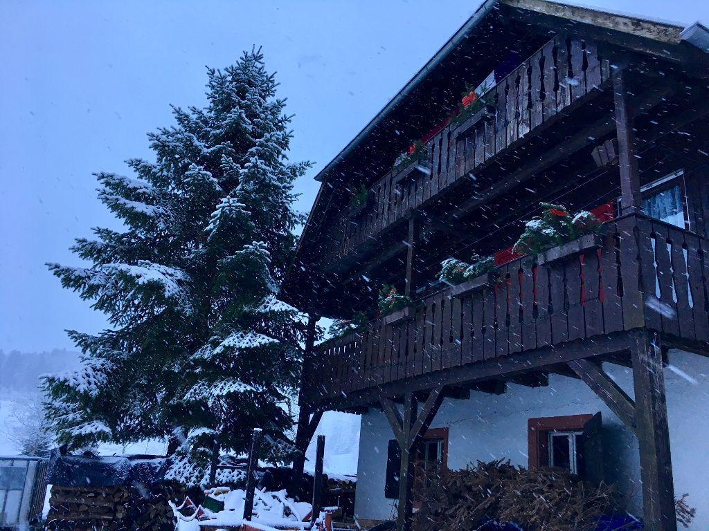 Mattenhof Zell am Harmersbach Eksteriør billede